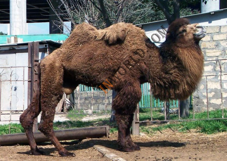 Medium size - left floating